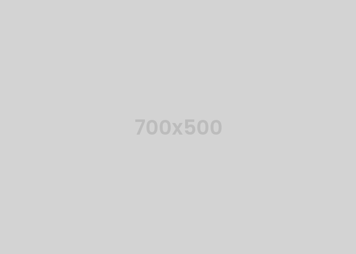 STRESS_TEST_341_Demo Food-distributor #341